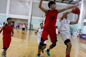 金年会部门-波兰篮球协会积极推进篮球运动发展，助力国家关注度提升(波兰篮球俱乐部)