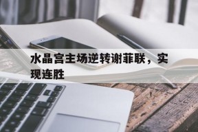 金年会部门-水晶宫主场逆转谢菲联，实现连胜的简单介绍