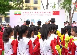 瑞典球队阵容